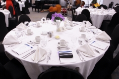 Errol-Barrow-Gala-Dinner-2017-014
