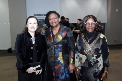 Errol-Barrow-Gala-Dinner-2017-069
